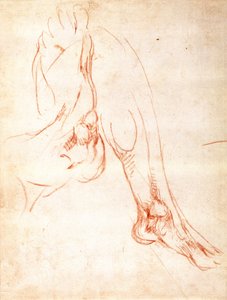 Study of a Lower Leg and Foot (recto) by Michelangelo Buonarroti